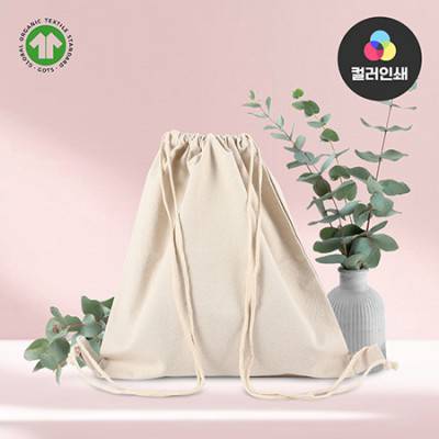 에코더스트백