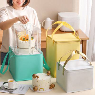 S32 파스텔 컬러 방수 보온 보냉 도시락 부직포가방 중 (26*26*20cm)